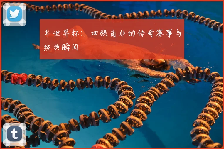年世界杯：回顾南非的传奇赛事与经典瞬间