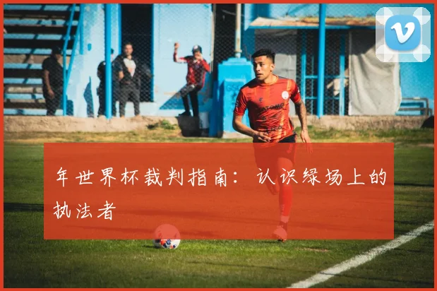 年世界杯裁判指南：认识绿场上的执法者