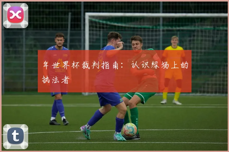 年世界杯裁判指南：认识绿场上的执法者
