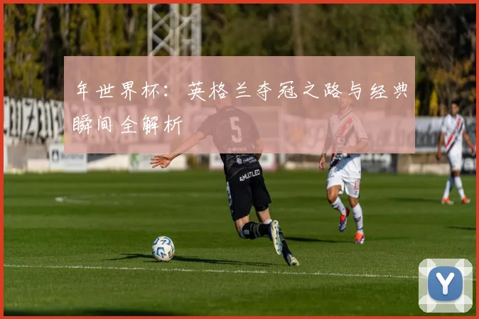 年世界杯：英格兰夺冠之路与经典瞬间全解析
